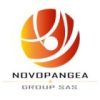 Novopangea